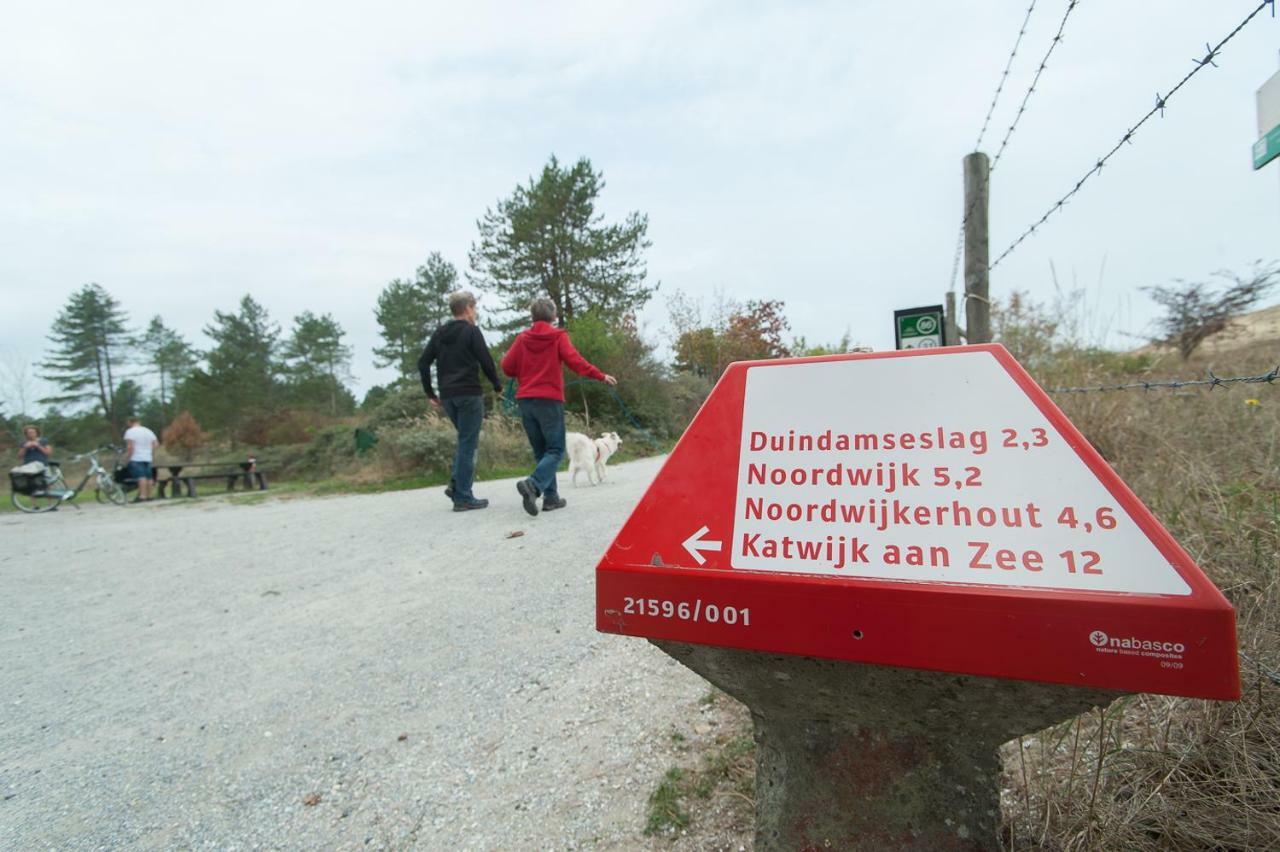 Bungalowverhuur 'T Lappennest Noordwijk Eksteriør bilde